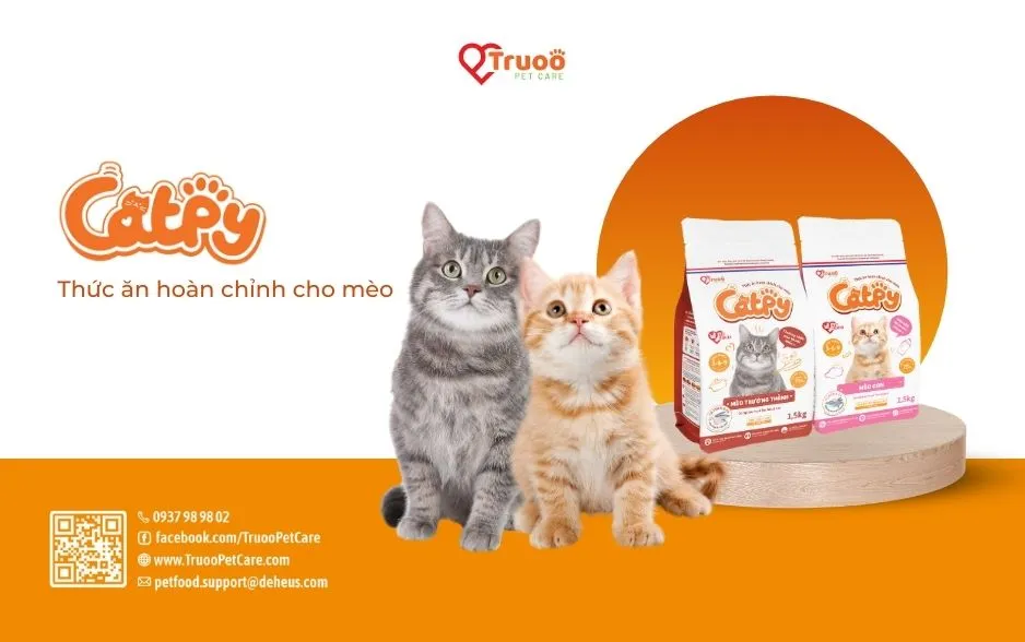 Thức ăn cho mèo Catpy có chứa hơn 75% đạm động vật