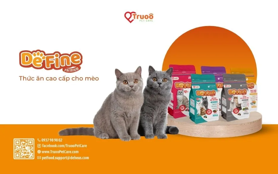 Thức ăn cao cấp DeFine Cat chăm sóc hệ tiêu hoá cho mèo