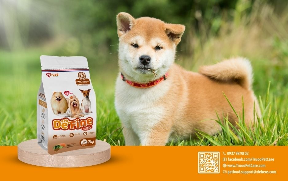 DeFine Dog - Da khoẻ lông mượt là sự lựa chọn hoàn hảo chó những chú chó Shiba hay rụng lông.