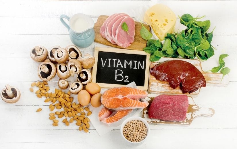 Vitamin B giúp cơ thể mèo sản xuất tế bào hồng cầu, hỗ trợ sức khoẻ hệ tiêu hoá và thần kinh 