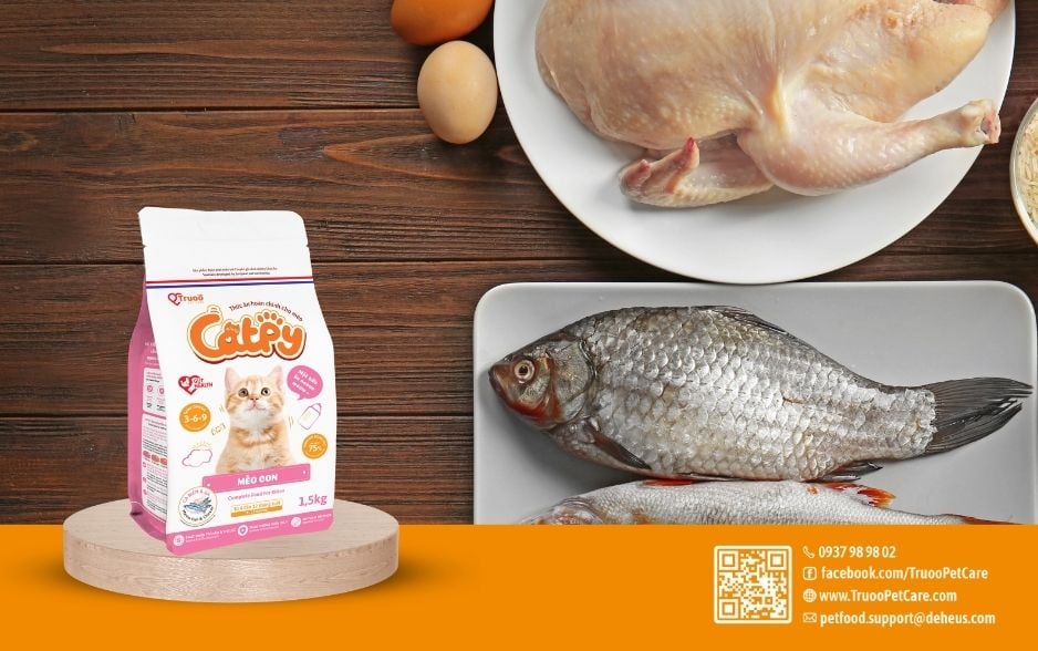 Catpy mèo con sử dụng thịt gà và cá nhập khẩu để cung cấp đủ dưỡng chất thiết yếu giúp mèo con phát triển khỏe mạnh.