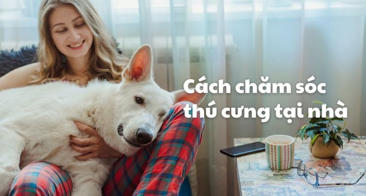 Cách chăm sóc thú cưng tại nhà: Dành cho người mới nuôi