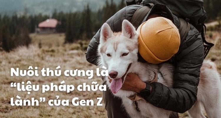 Khi nuôi thú cưng là “liệu pháp chữa lành” của Gen Z