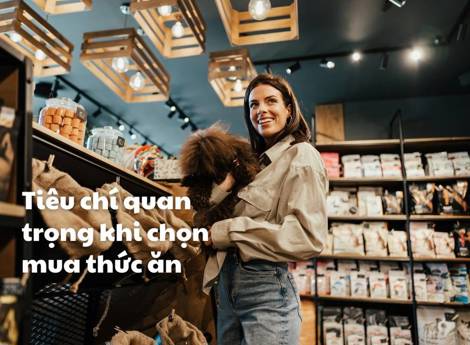 Tiêu chí quan trọng khi chọn mua thức ăn cho chó