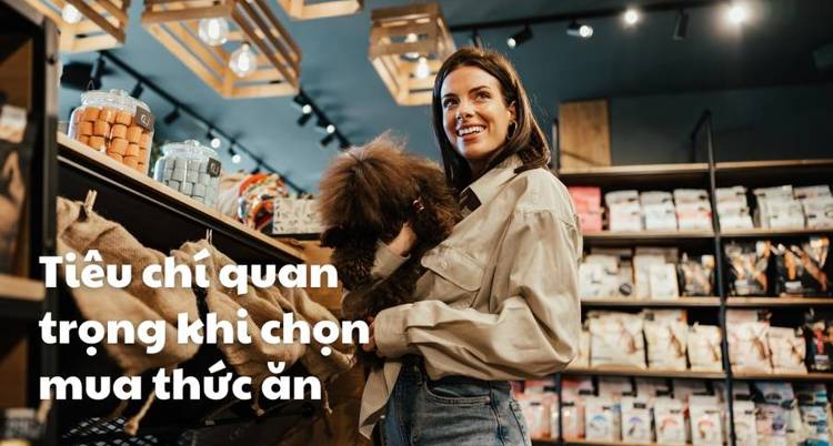 Tiêu chí quan trọng khi chọn mua thức ăn cho chó